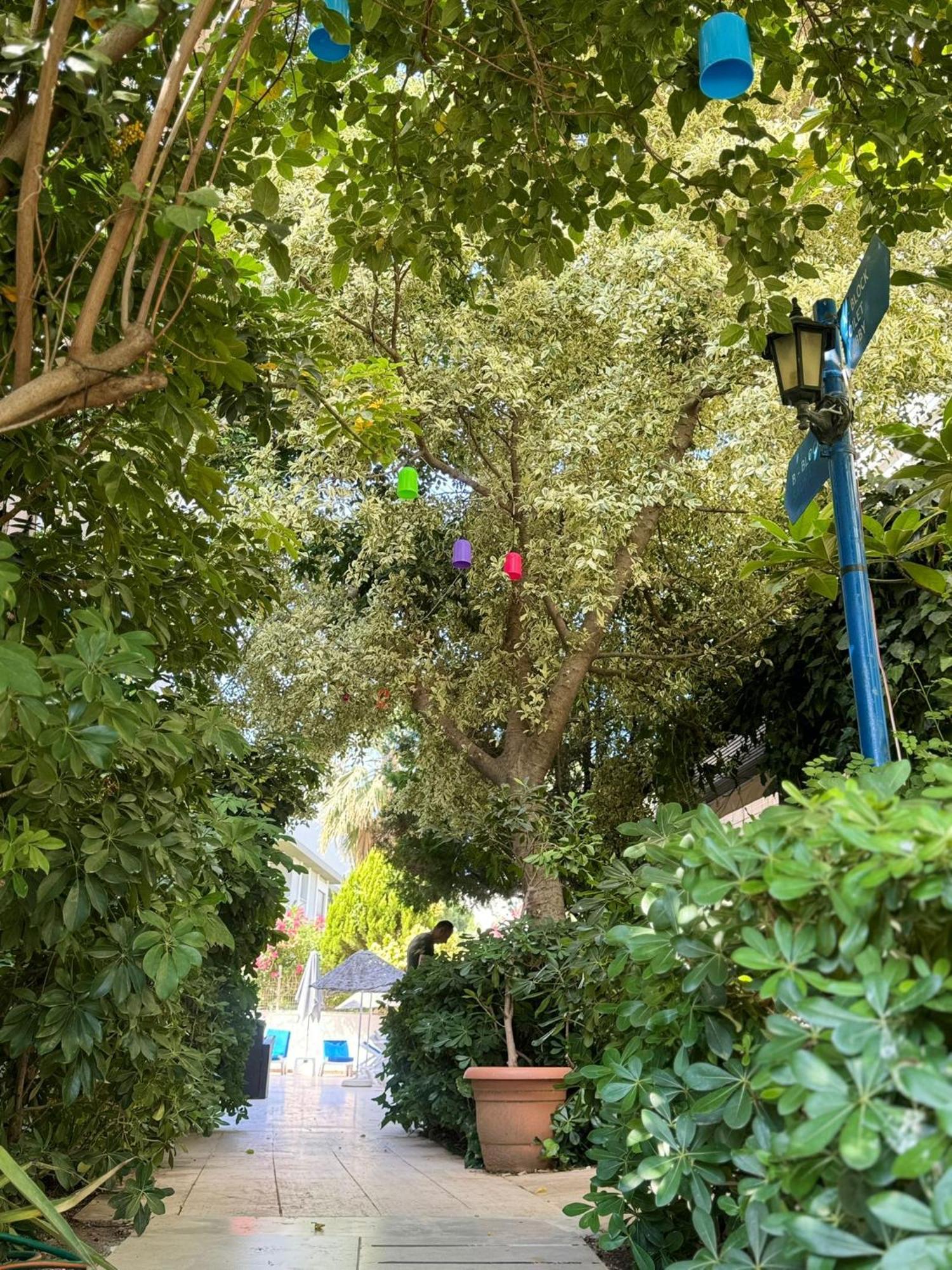איסמלר Navy Hotel מראה חיצוני תמונה